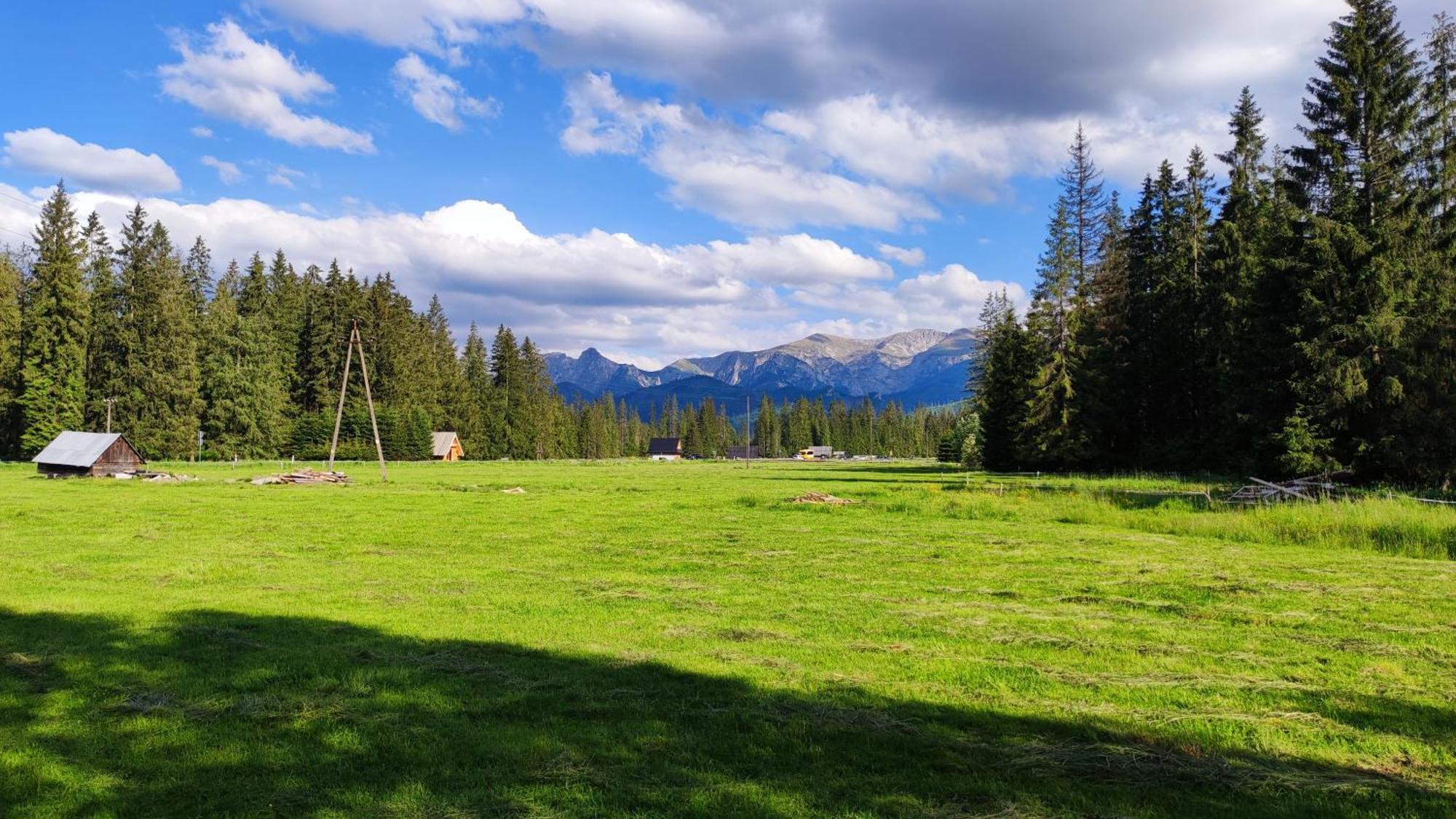 Domek Drewniany Krokus Witów エクステリア 写真